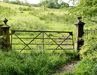 Gate to a tenter-field